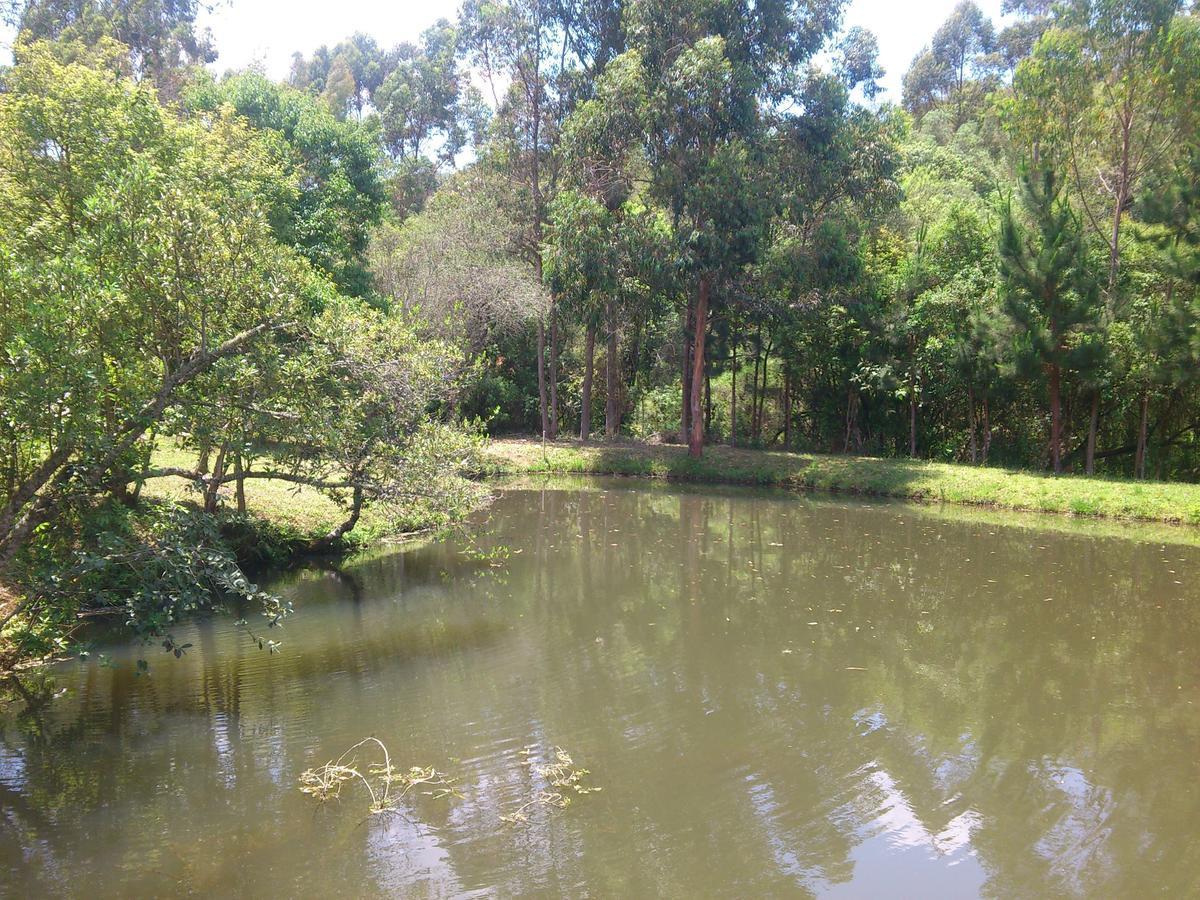 Pousada Ilhas Do Sol Senador Amaral Номер фото